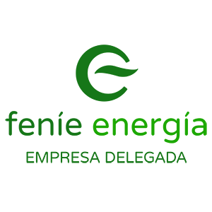 Fenie Energia